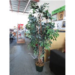 Faux fig tree - 5.5' x 12"