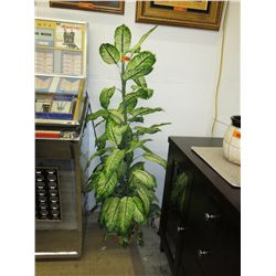 Imitation house plant - 4' x 12"