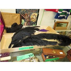 Genuine bird feathers for hatter or costumer