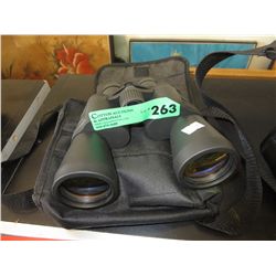 Pair of binoculars