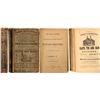 Image 1 : Lake Shore Gazetteer and Cleveland and Toledo Railroad business directory, 1866-7