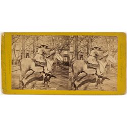 "Buffalo Bill" Stereoview