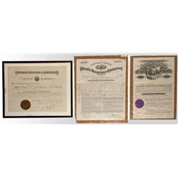 Three Nevada historic documents