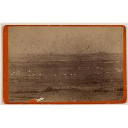 Arapahoe Circle Camp Photograph