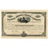 Image 1 : Central Arizona Mining Company Stock Certificate 1882