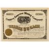 Image 1 : Copper Emperor Mining Company Stock Certificate  1883