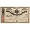 Image 1 : "The Pearl" Gold and Silver Mining Co. Stock Cert.