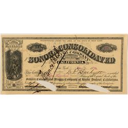 Sonora Cons. Mining Company Stock Certificate 1879