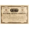 Image 1 : Ivanhoe Mining Co. Stock Certificate