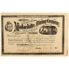Image 1 : Malachite Mining Co. Stock Certificate