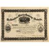 Image 1 : Dauntless Mining Co. of Leadville, Stock Certificate, 1881