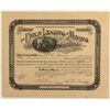 Image 1 : Union Leasing and Mining Company Stock Certificate, 1895