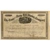 Image 1 : Long and Derry Hill Mining Co. Stock Certificate