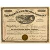 Image 1 : Gold Placer Mining Company Stock Certificate