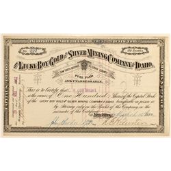 The Lucky Boy Gold and Silver Mining Co. of Idaho
