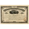 Image 1 : The Santa Rita Copper and Iron Company of Santa Rita, New Mexico Stock Certificate