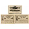 Image 1 : Massachusetts and New Mexico Cons. Mining Co. Stock Certificates