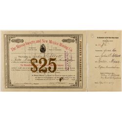 Massachusetts and New Mexico Mining Co. Stock Certificate 1879