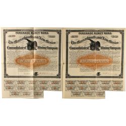 The Massachusetts & New Mexico Cons. Mining Co. $50 Bonds