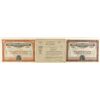 Image 1 : The Tramp Mining Co., Related Stock Certificates