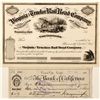 Image 1 : Virginia and Truckee Railway Stock and Check