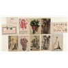 Image 1 : Tokay/Lodi Wine Carnival Ephemera c.1907