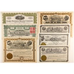 Seven Stocks from Yuma, Arizona
