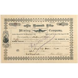 The Mammoth Hill Mining Company Stock