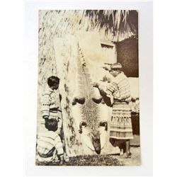 VINTAGE RPPC NATIVE AMERICAN INDIAN WITH ALLIGATOR SKIN PHOTO POSTCARD