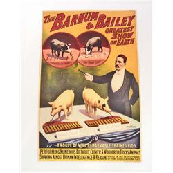 BARNUM & BAILEY CIRCUS PIGS 8 X 10 GICLEE CANVAS PRINT