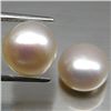 Image 1 : LOT OF 8.42 CTS OF WHITE CHINESE FRESH WATER PEARLS - 2PCS