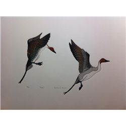 "Pintail" by Reita Nevin Quinlan