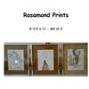 Image 1 : Smaller Rosamond Prints