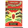 Image 1 : The Amazing Spider-Man Silver Age Group Lot (Marvel, 1964). Here is an "amazing" set of The Amazing.