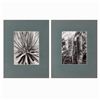 Image 14 : Albert Renger-Patzsch (1897-1966), 2 Macro Photographs, 1920s