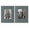 Image 1 : Albert Renger-Patzsch (1897-1966), 2 Macro Photographs, 1920s