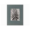 Image 2 : Albert Renger-Patzsch (1897-1966), 2 Macro Photographs, 1920s
