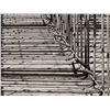 Image 15 : Albert Renger-Patzsch, 4 Photographs ‘Verschalungen‘, 1920/30s