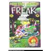 Image 1 : Freak Brothers #3 (Rip Off Press, 1973). Summer in the park is the theme for this cover of the Freak