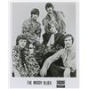 Image 3 : Moody Blues