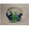 Image 1 : Bel'Arte-(New) 5.5 Inch Clear Rose