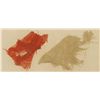 Image 2 : Star Spangled Banner Flag Fragments
