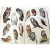 Image 4 : 1946 "AUDUBON BIRD GUIDE" HARDCOVER BOOK