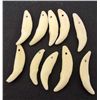 Image 1 : LOT OF 10 COYOTE TEETH - TAXIDERMY - JEWELRY