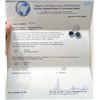 Image 2 : 14KT WHITE GOLD BLACK & WHITE DIAMOND EARRINGS