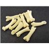 Image 1 : LOT OF 10 COYOTE KNUCKLE BONES - TAXIDERMY
