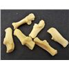 Image 1 : LOT OF 6 COYOTE TOE BONES - TAXIDERMY