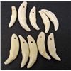 Image 1 : LOT OF 10 COYOTE TEETH - TAXIDERMY - JEWELRY