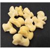 Image 1 : LOT OF 10 COYOTE BONES - TAXIDERMY