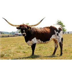 Awesome Sequela PC251